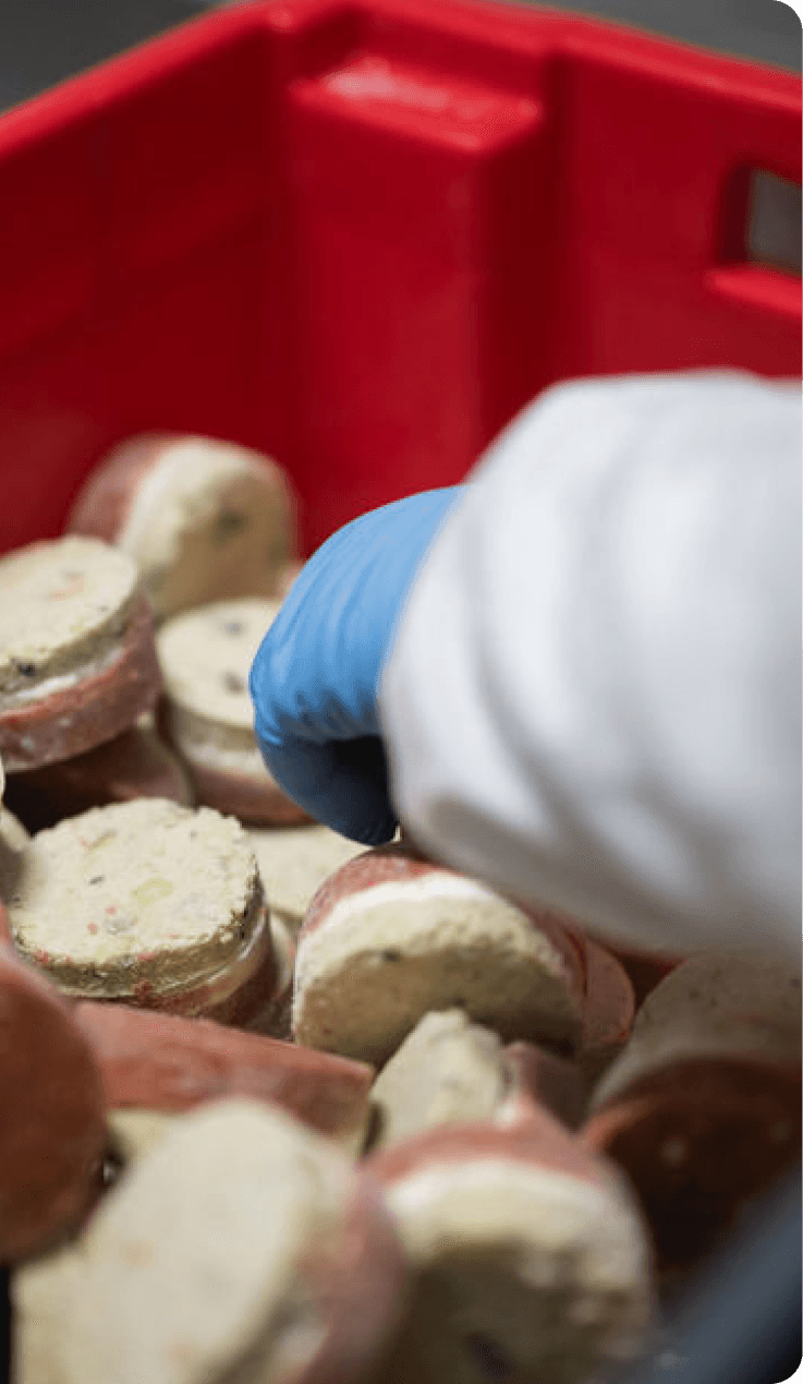 production dans l'agroalimentaire 1