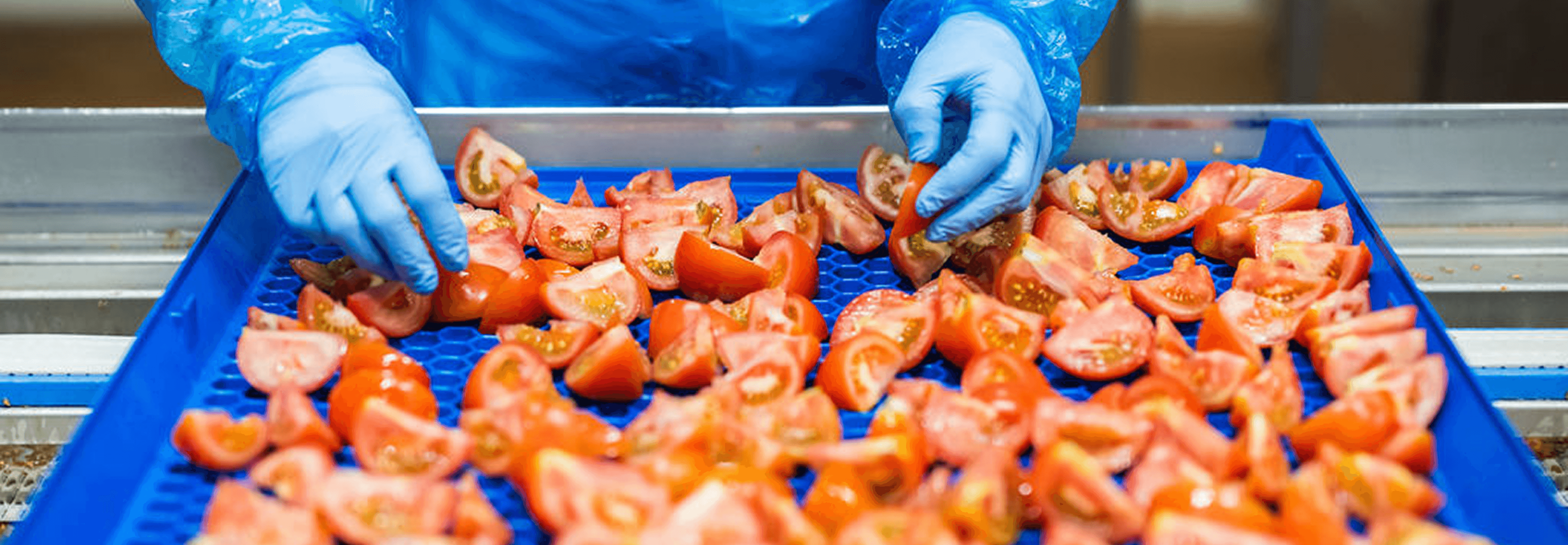 production dans l'agroalimentaire 2